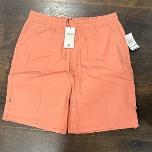 Curve Appeal Stretchy Shorts